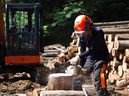 座学と実地でのチェンソーの取り扱いを学びます