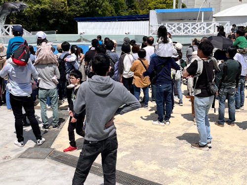 新屋島水族館出店にてキッチンカーからの眺め