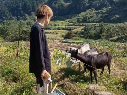 ヤギもいるよ♪