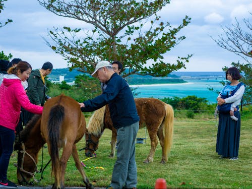 昨年度のプログラムの様子(久米島)