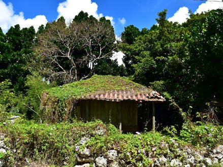 昔ながらの沖縄が残る集落で  『島人のように過ごせる』カフェ