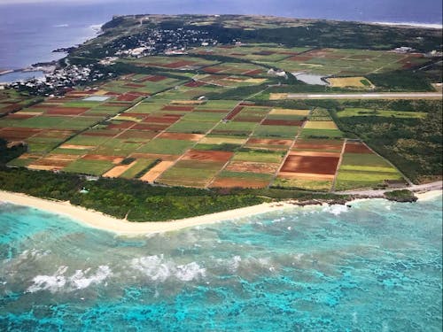 美しい島をめぐる収穫体験ができるカフェを目指しています！