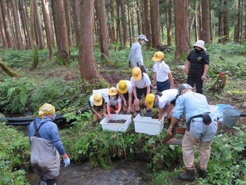 小学校の様子🎣 渓流釣りや川と魚について学ぶ「フライフィッシングクラブ」。峠川の支流にアマゴやヤマメの産卵場をつくっています🐟