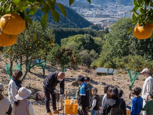有機農業へと移りゆく尾鷲