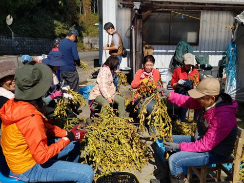 昨年の「里山ボランティア」の様子