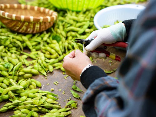 色んな作業があります。体力に合わせてくださいね。