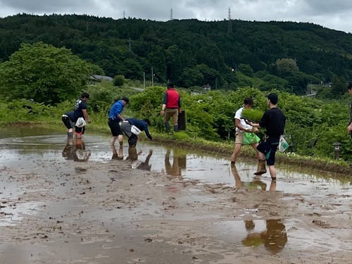 農業にやりがいを見出だす若者が増加