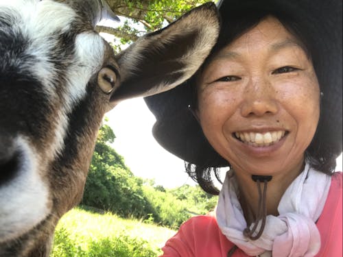 山羊たちと一緒に自然生活