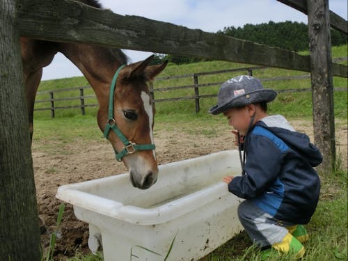 のびのびした自然の中で子育ても!