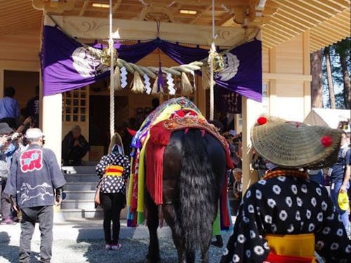 滝沢市の鬼越蒼前神社で馬の無病息災への祈願
