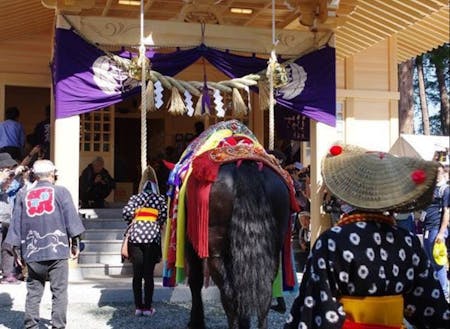 滝沢市の鬼越蒼前神社で馬の無病息災への祈願