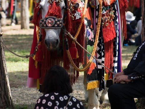 馬と人との生活