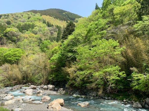 とあるサロン周辺の景色