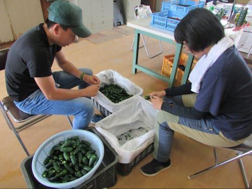 時期によって体験できることはいろいろ!