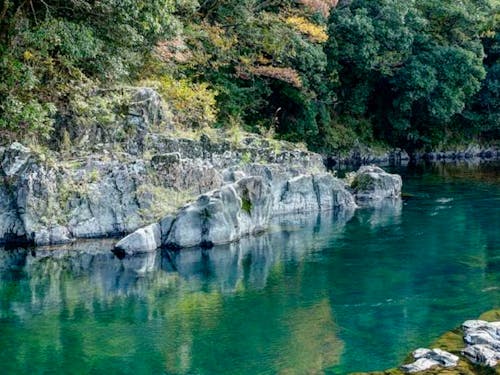 水質日本一に選ばれる高津川源泉