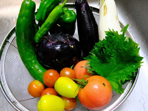 シェアハウスの庭では野菜も作っています。