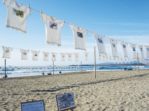 黒潮町にある砂浜美術館。