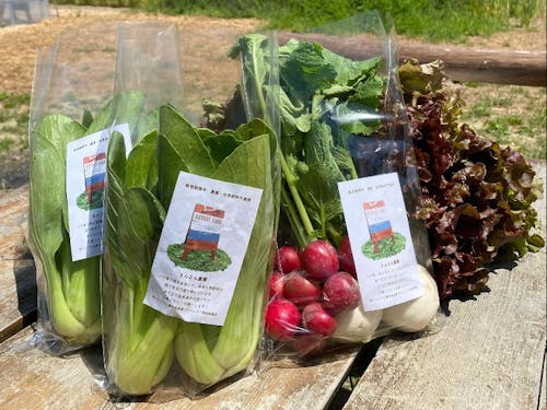 みんなで作った野菜は学校給食や道の駅でも販売!