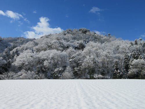 心が晴れる雄大な冬の景色