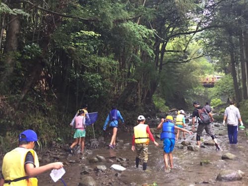 自然に囲まれて過ごす「夏休み体験」