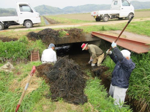 水路の掃除の様子
