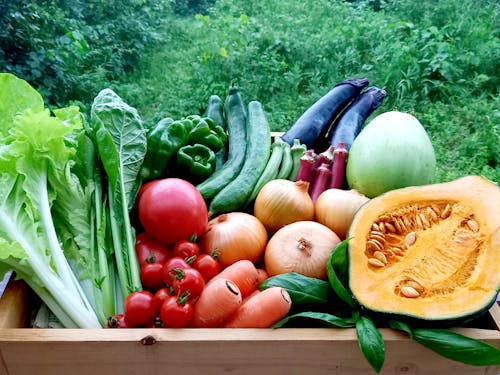 小林市内で生産された新鮮で安心・安全な農産物