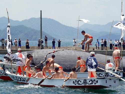 来年も7月に開催予定