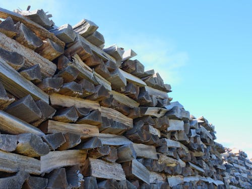 地域を支える林業。その過程で出る木の端材をどう利活用するか、も地域課題の一つです。