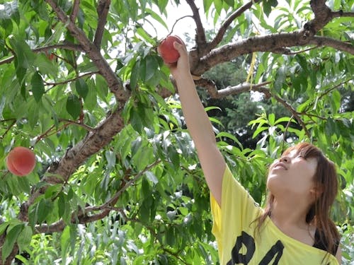 自然に囲まれた子育てはいかがですか?