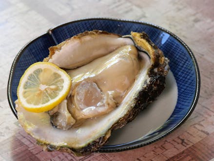 篠島の牡蠣