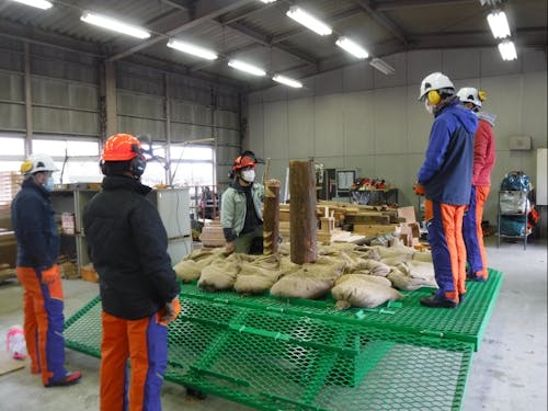 研修の様子(伐倒練習機での伐倒練習)