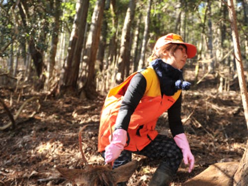 捕獲した鹿を運ぶところ(止め刺し~搬入は運よく当日あれば見学できます!)