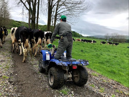 放牧ならではの作業