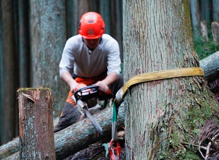 林業は1人ではできないともいわれています。それぞれで作業を分担し合いつつ、お互いの位置関係を見ながら安全に作業をしています。