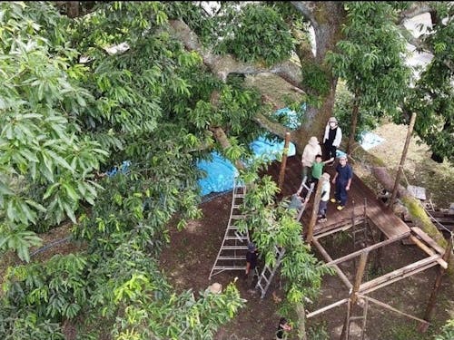 ☆Kira☆びとこうち「森づくり事業」みんなで作る森!