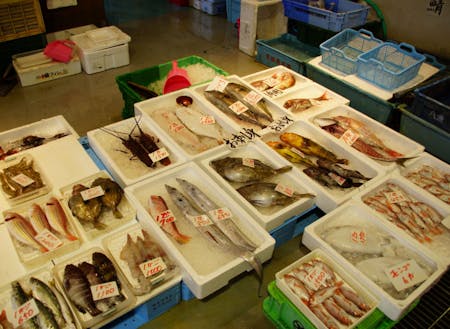 市場で販売されている魚