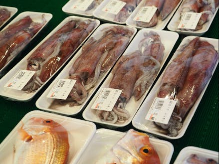 港の魚屋「大漁」に並ぶ鮮魚