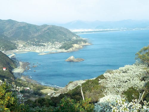 和歌山は海もとっても身近です! 美浜町の光景