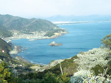 和歌山は海もとっても身近です！　美浜町の光景