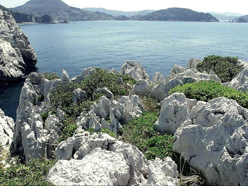 日本の渚百選に選ばれた「白崎海岸」のある由良町。