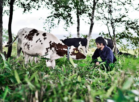 牛と対話する放牧酪農家