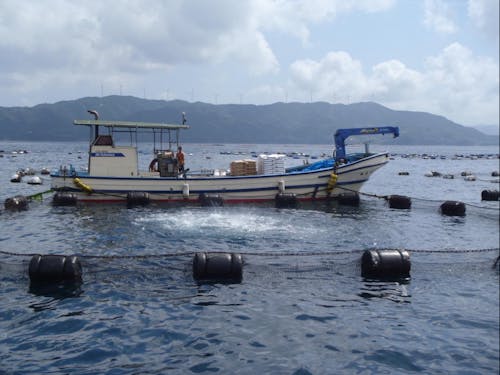 養殖も盛んです!