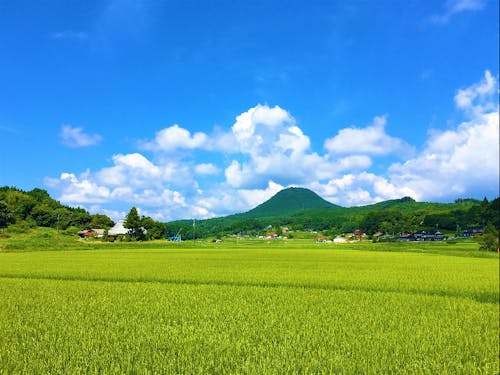 ぶどう以外にも稲作や桃なども盛んです。