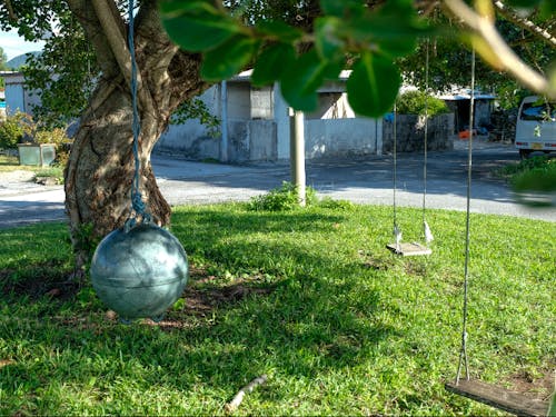 のどかな島の風景を次世代にも残すために