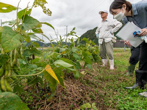 農場での説明②