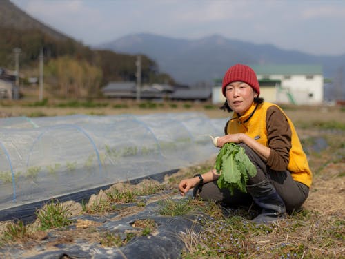 地元農家さん②