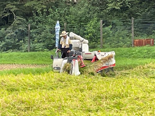 季節に寄り添う農業の仕事。