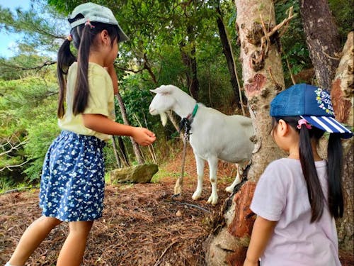 自然・動物との距離が、島らしさ