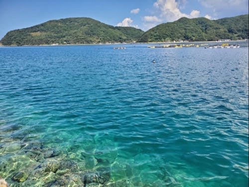 すぐそこに海がある生活が送れます。