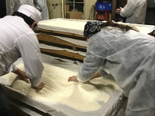 こちらは麹を乾燥させる作業♪手がすべすべになります^^